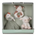 Gift box | Little Farm