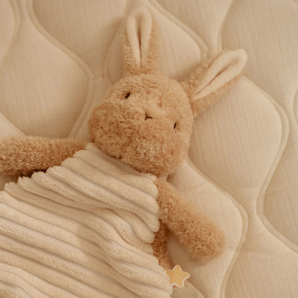 Doudou Paninho Newborn Naturals - Little Dutch
