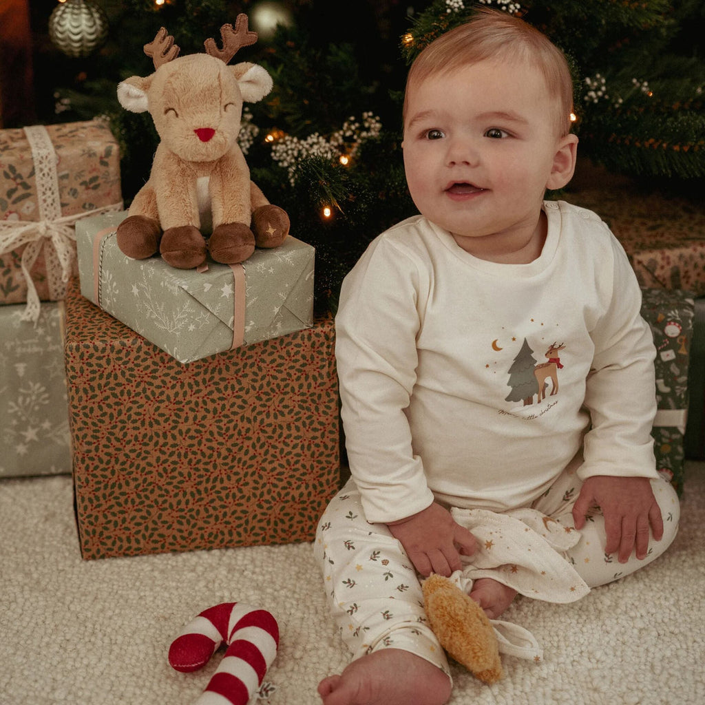 Giftset de Natal | Pure Naturals