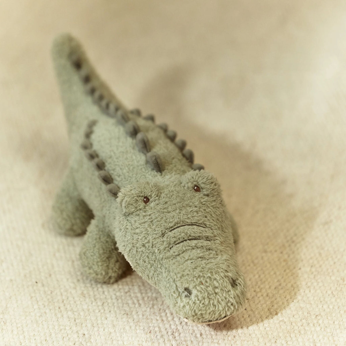 Peluche Crocodilo Verde Safari Friends Little Dutch - com criança