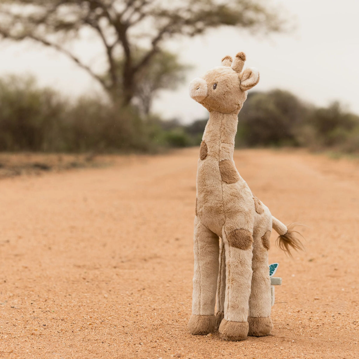 Peluche Girafa Little Dutch - imagem 5