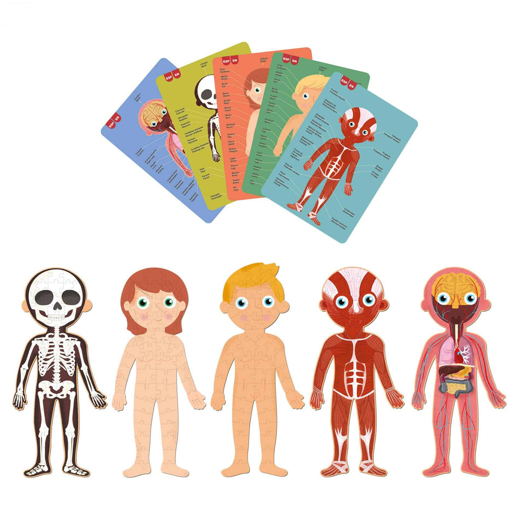 Puzzle | Corpo Humano | 240 Peças