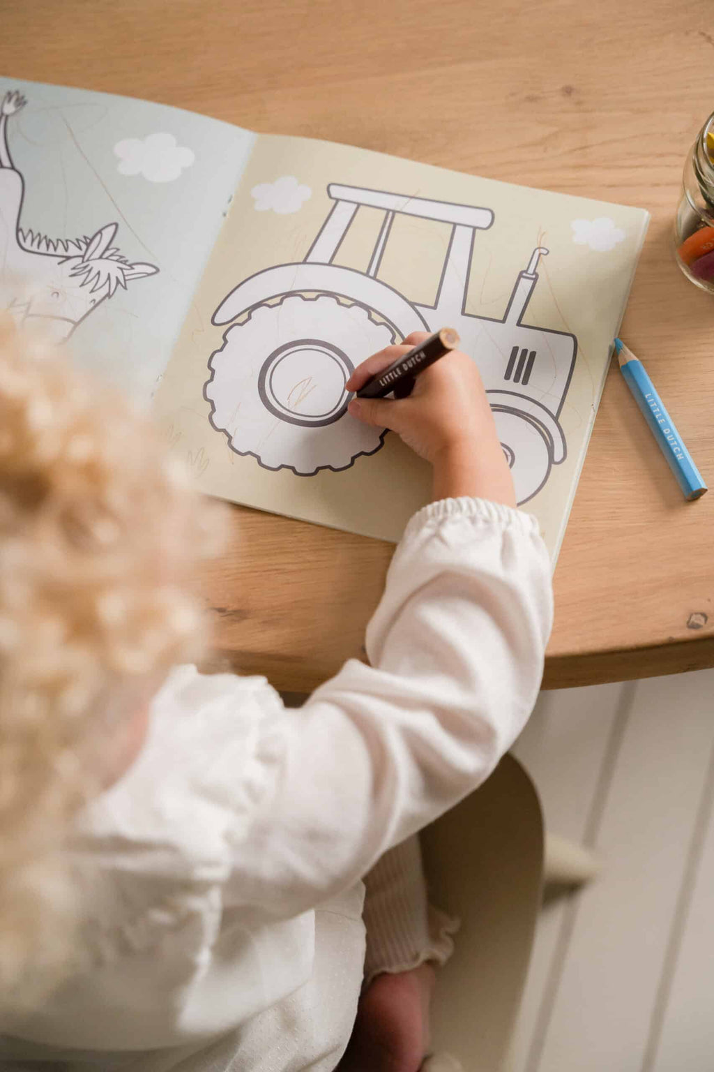 Livro de Colorir | Little Farm