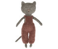 Chatons  |  Kitten  |  Grey