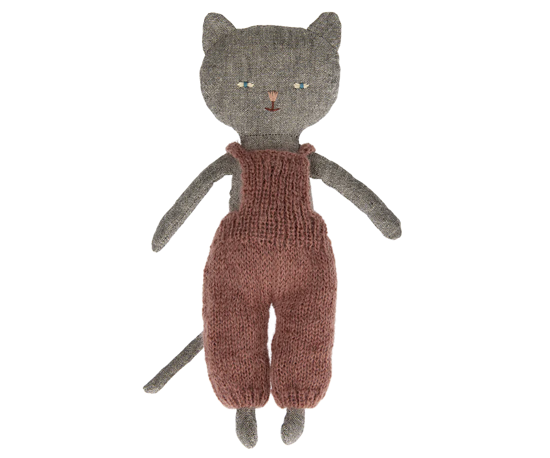 Chatons  |  Kitten  |  Grey