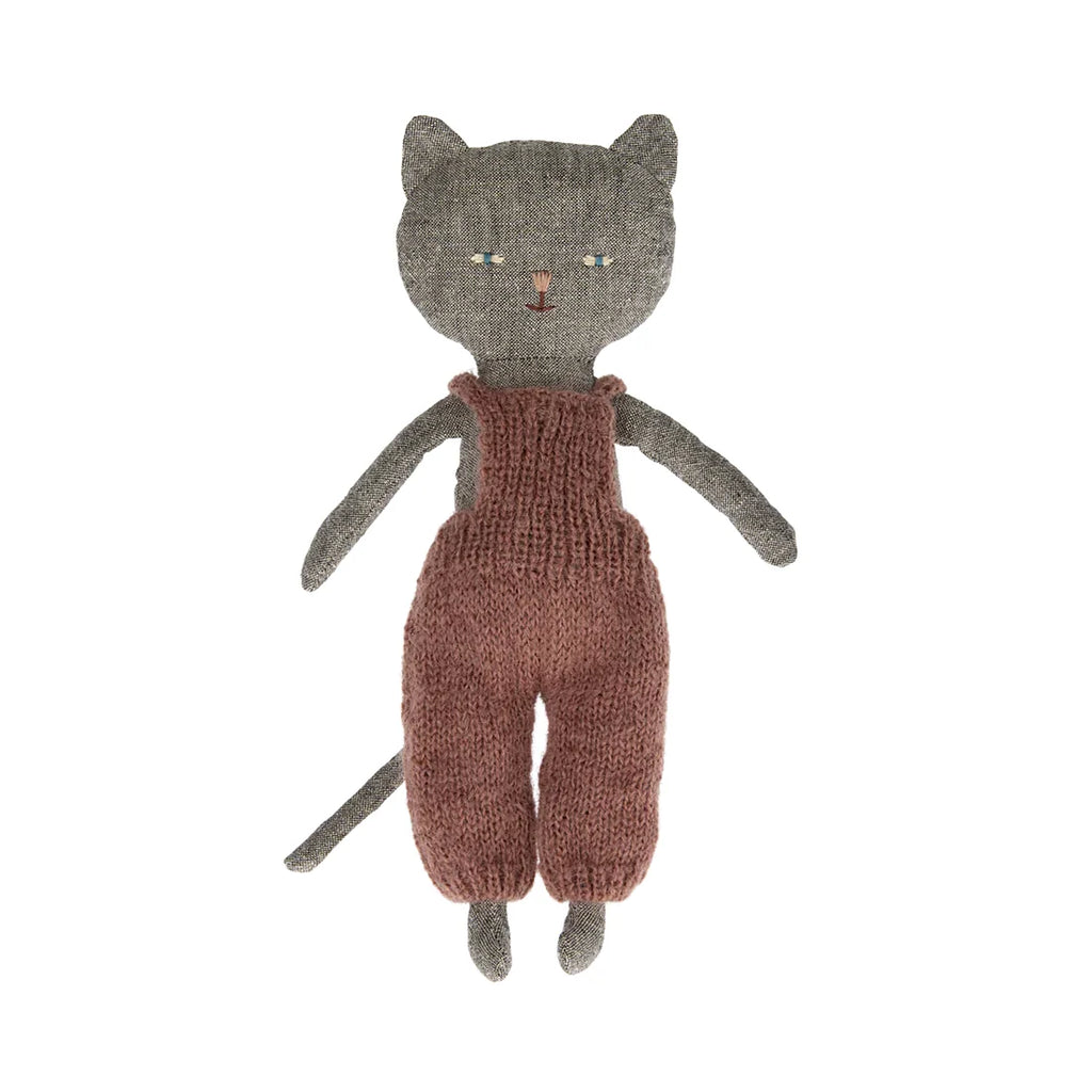 Chatons | Kitten | Grey