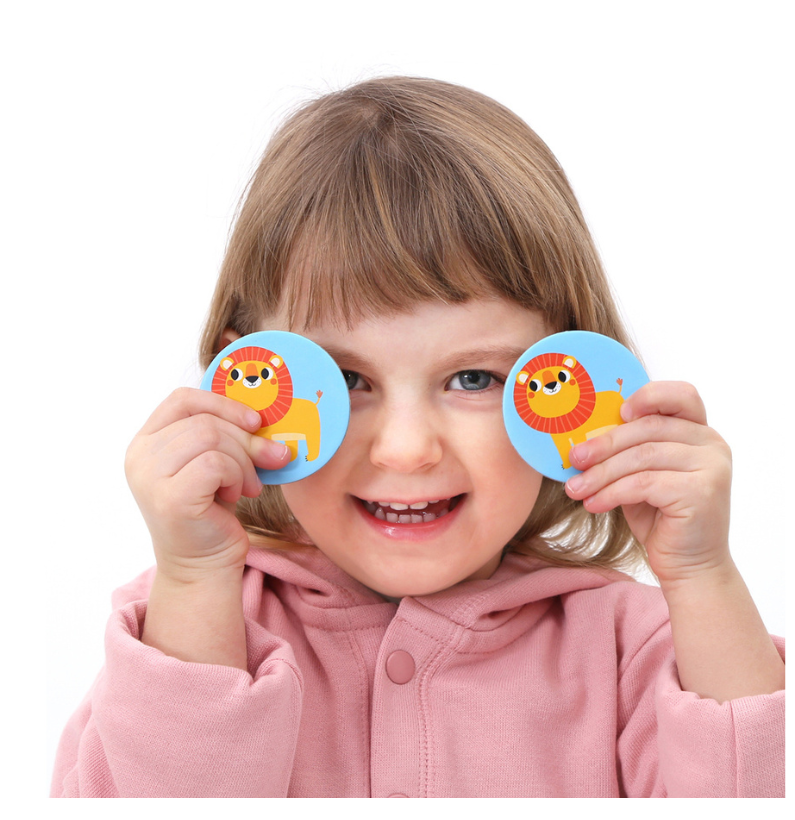 On The Go | Memory Game | Wild Animals