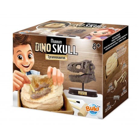 Crânio Dinossauro | Tirannosauro