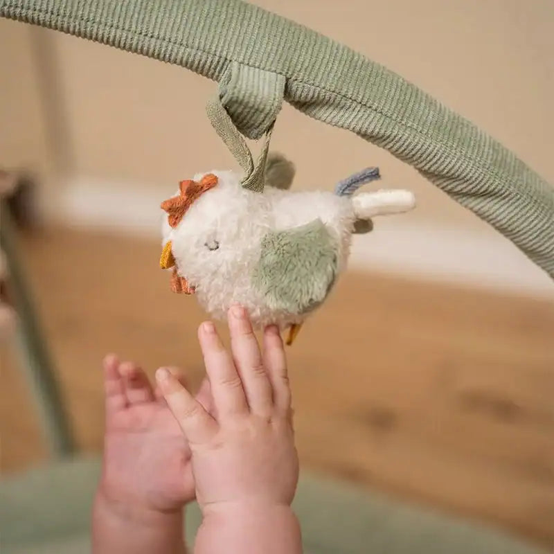 Ginásio de Atividades | Little Farm