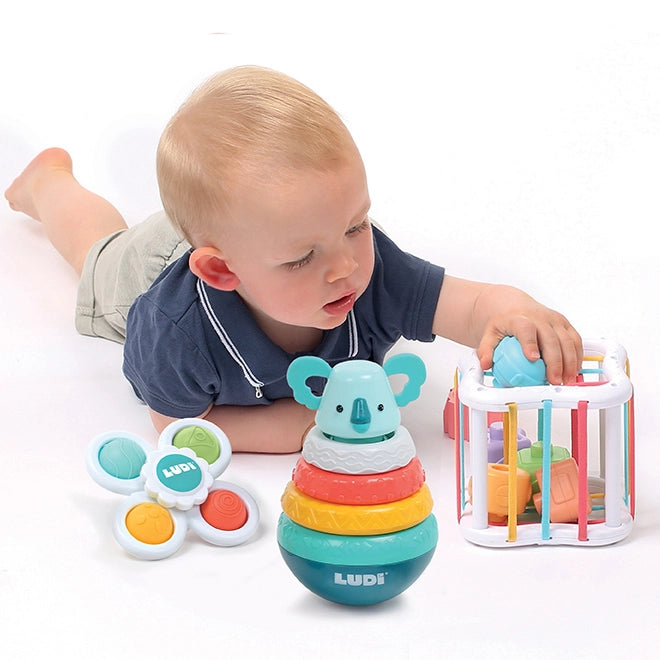 Conjunto de Manipulação para Bebé Ludi - imagem 2