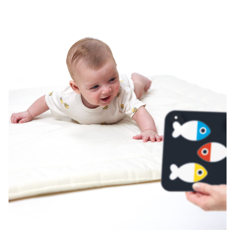 High Contrast | Baby Cards | +0m +3m