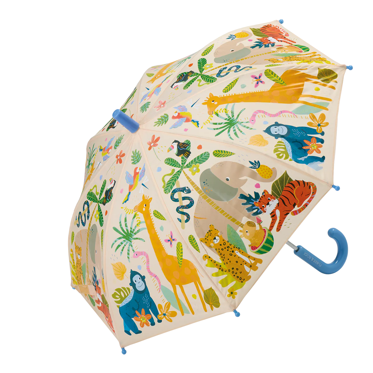Guarda Chuva | Selva