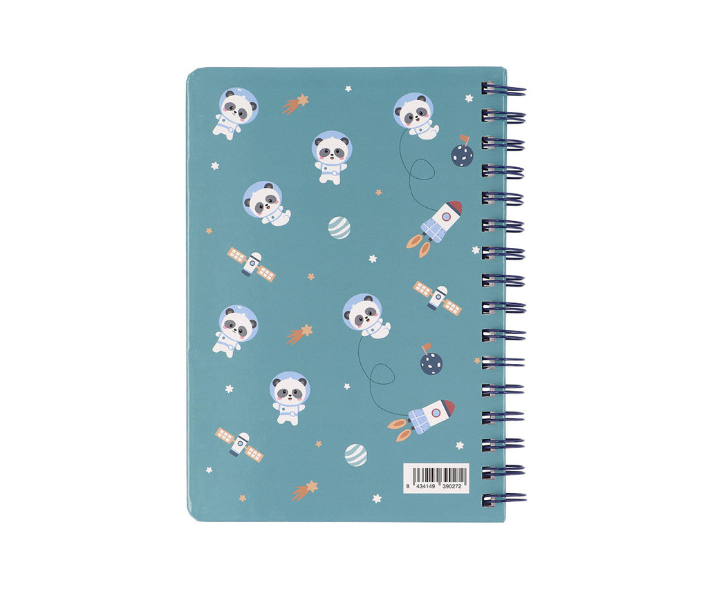 Caderno | Pandas in Space