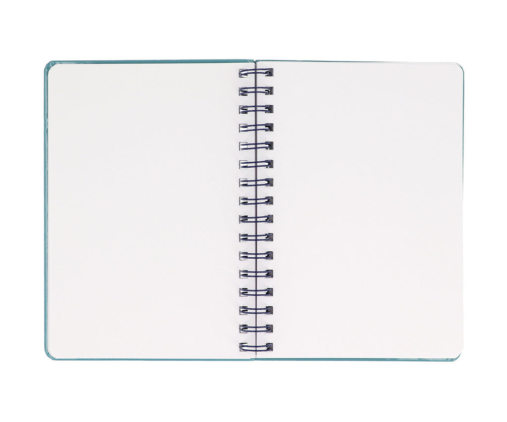 Caderno | Pandas in Space