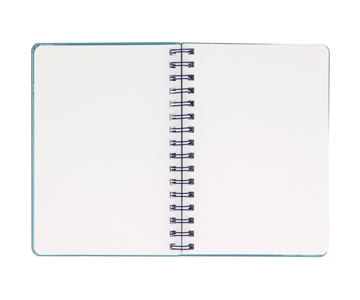 Caderno | Pandas in Space
