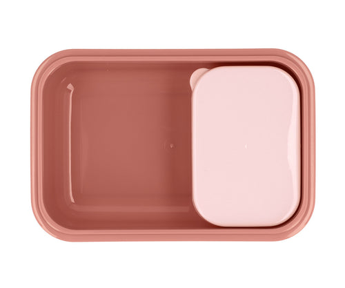 Caixa Lancheira Bento | Mouse Fairies