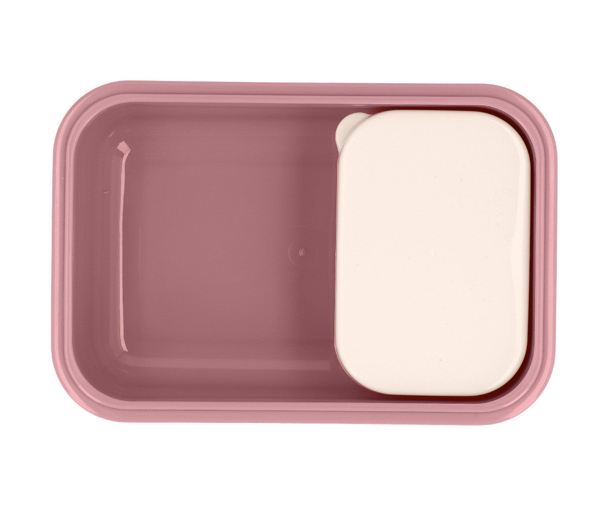 Caixa Lancheira Bento | Blossom Birds