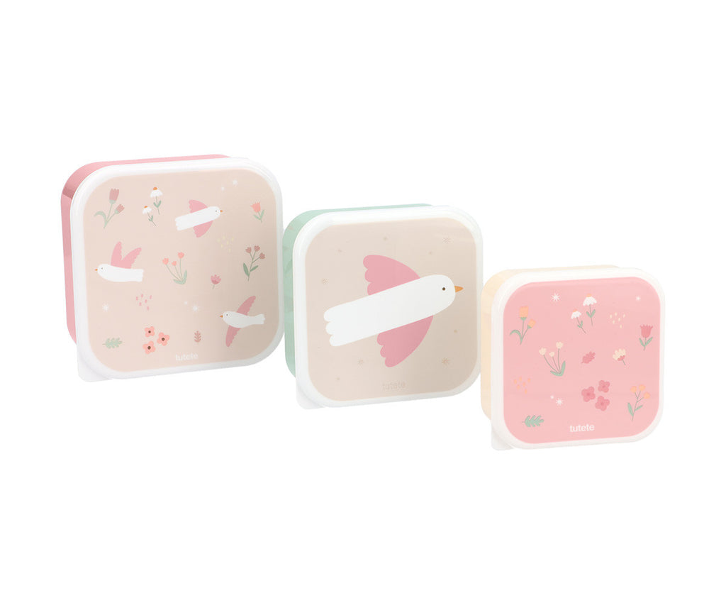 Conjunto 3 Caixas Lancheira | Blossom Birds