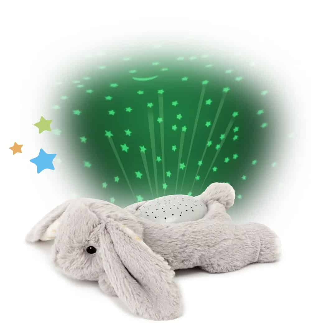 Benny the Bunny | Dream Buddies