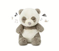 Peaceful Panda