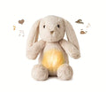 Billy Bunny | LoveLight Buddies