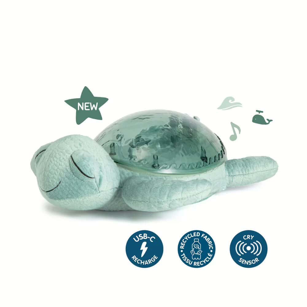 Tranquil Turtle | Green