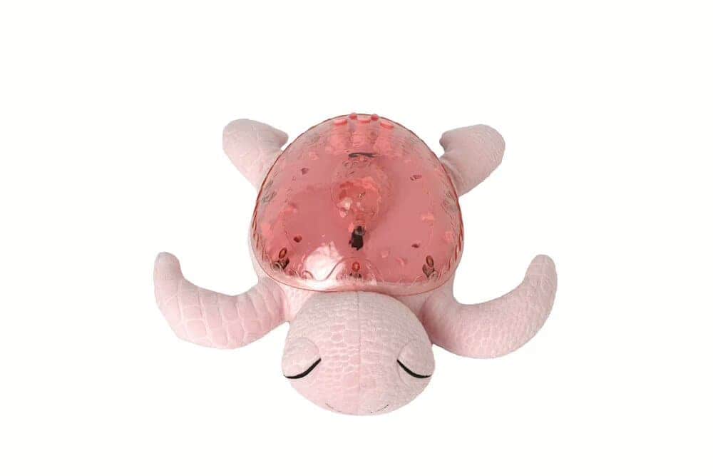 Tranquil Turtle | Pink