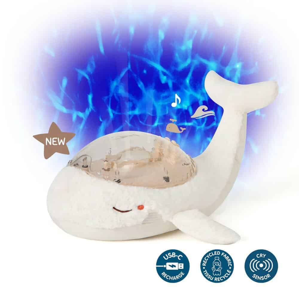 Tranquil Whale | White