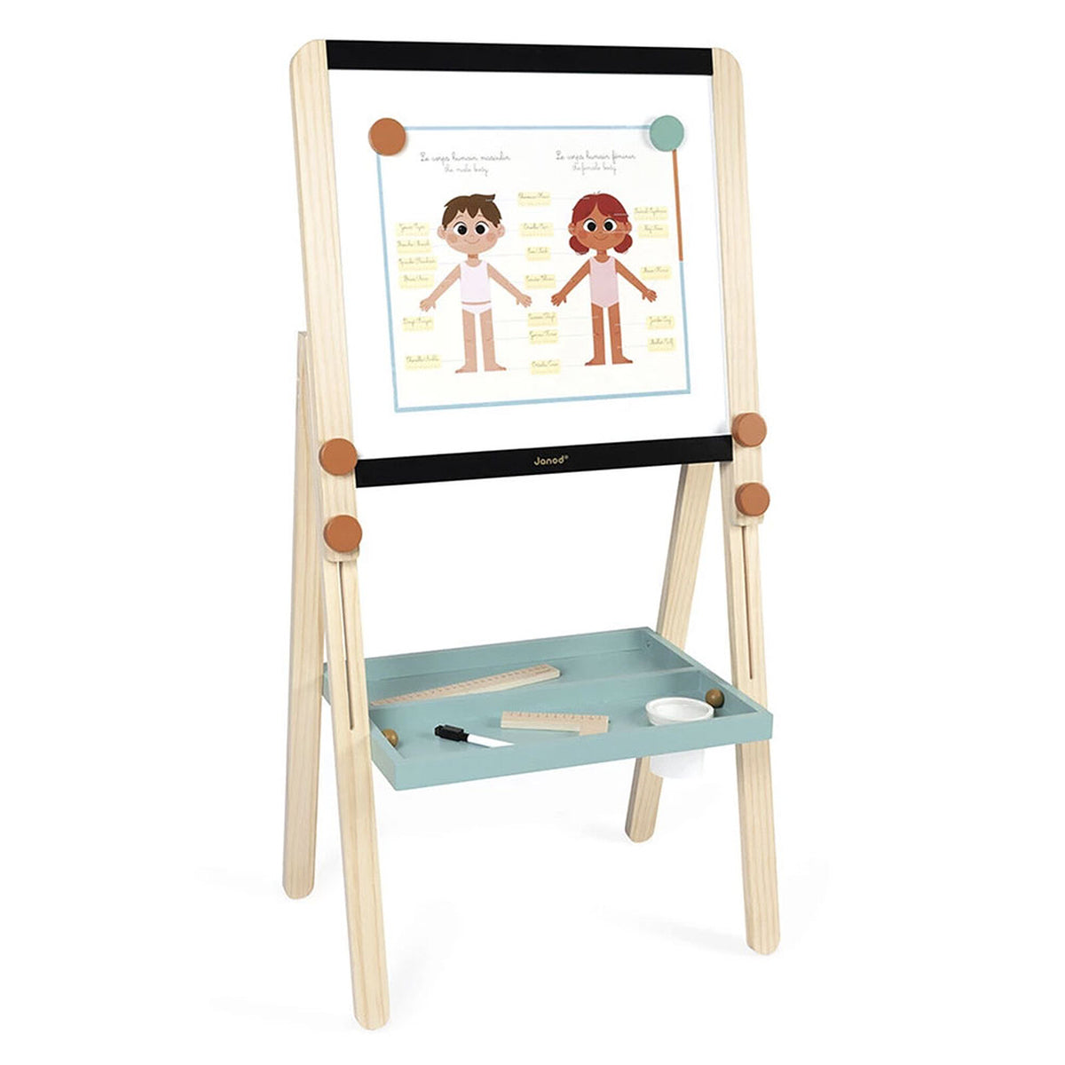 Quadro dos Professores - Janod