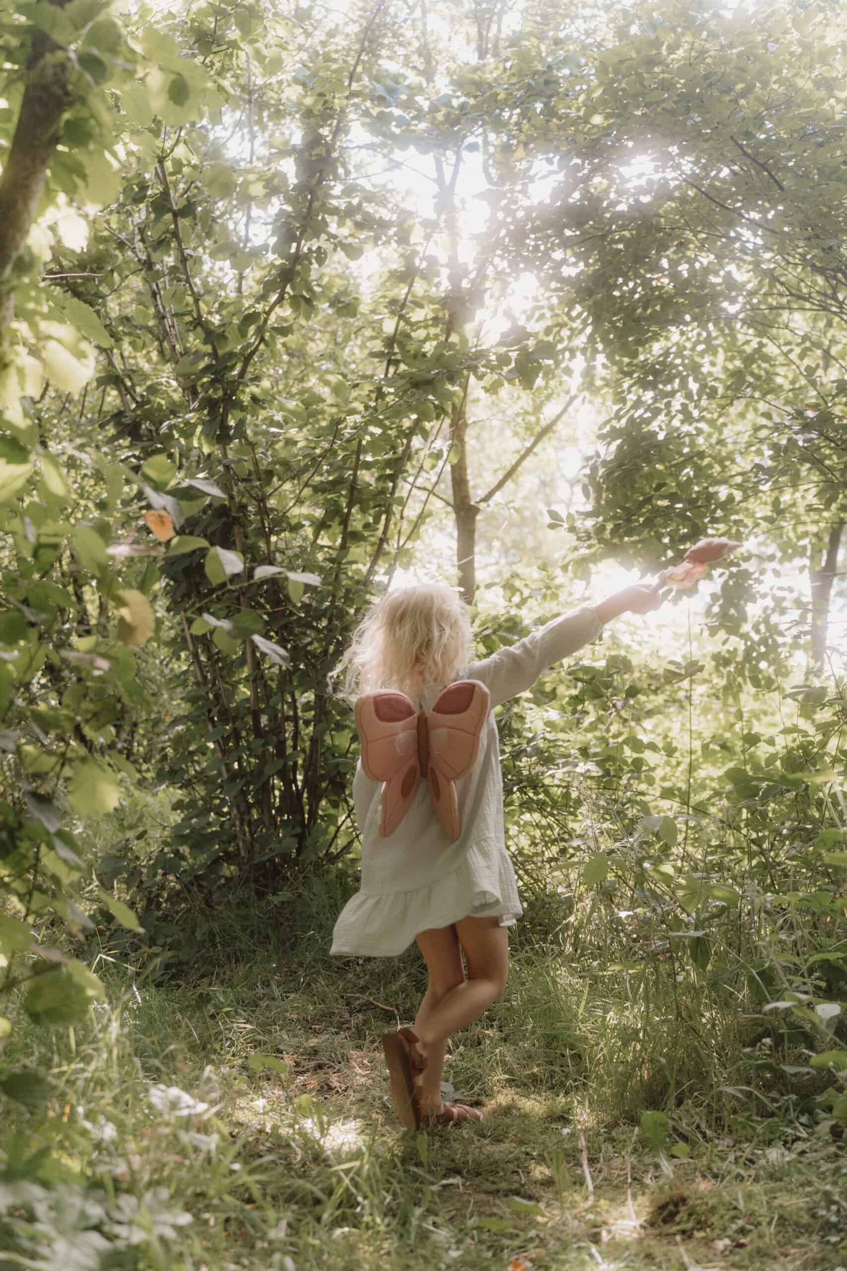 Asas e Varinha | Fairy Garden