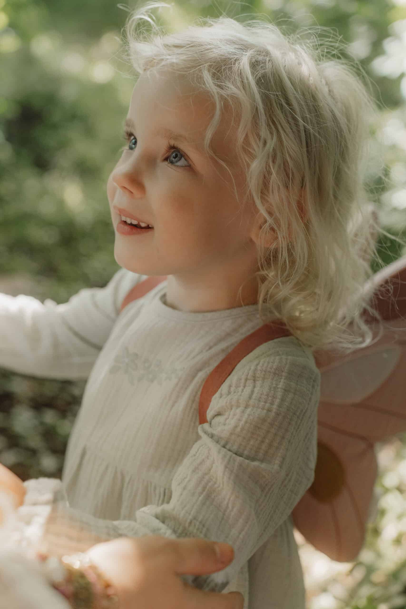 Asas e Varinha | Fairy Garden