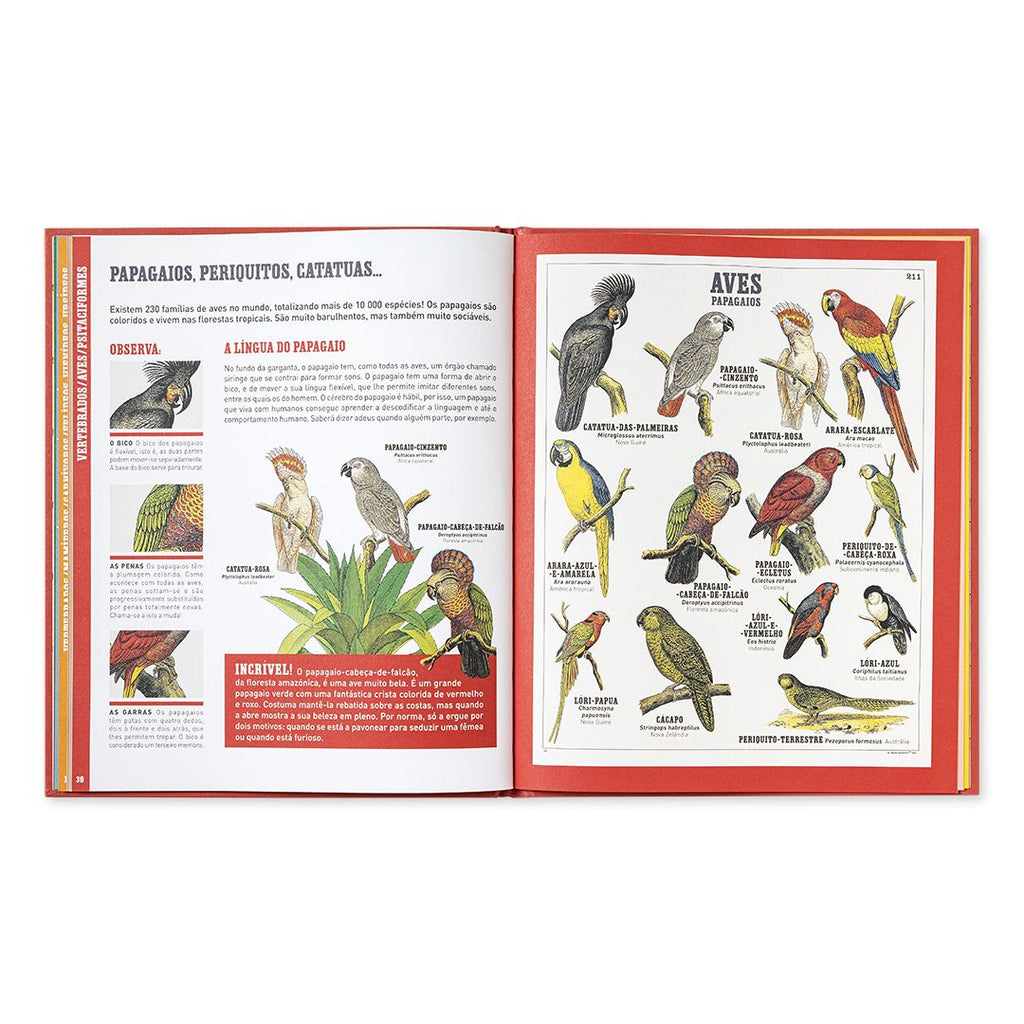 O grande livro dos animais