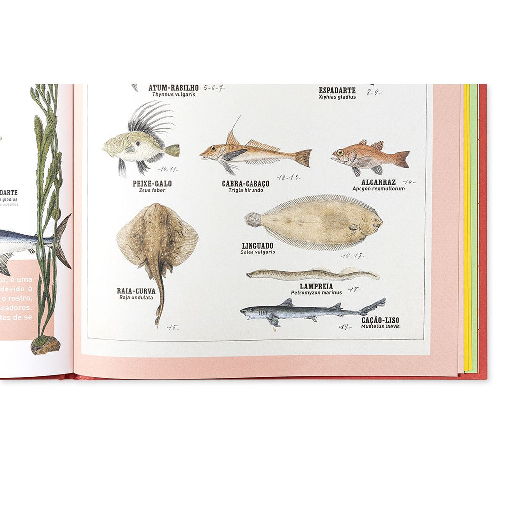 O grande livro dos animais