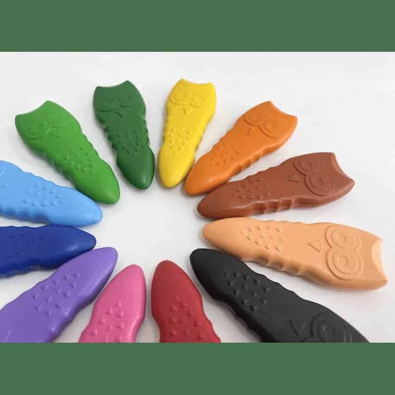 Owl Crayons | 12 Cores