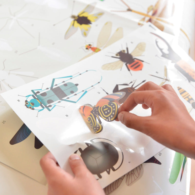 Discovery | Insects