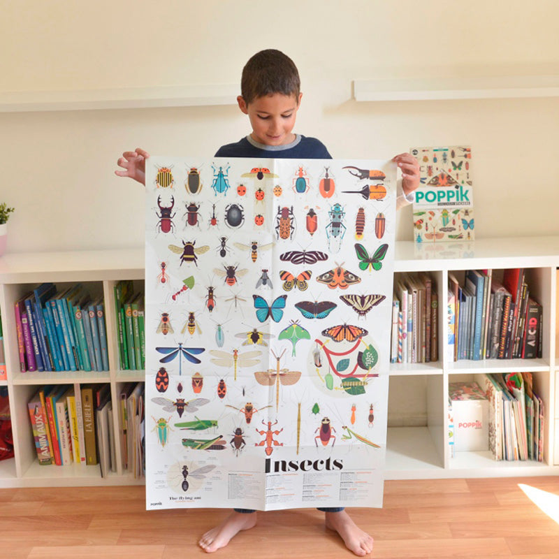 Discovery | Insects