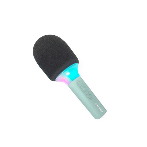 Microfone de Karaoke | Verde
