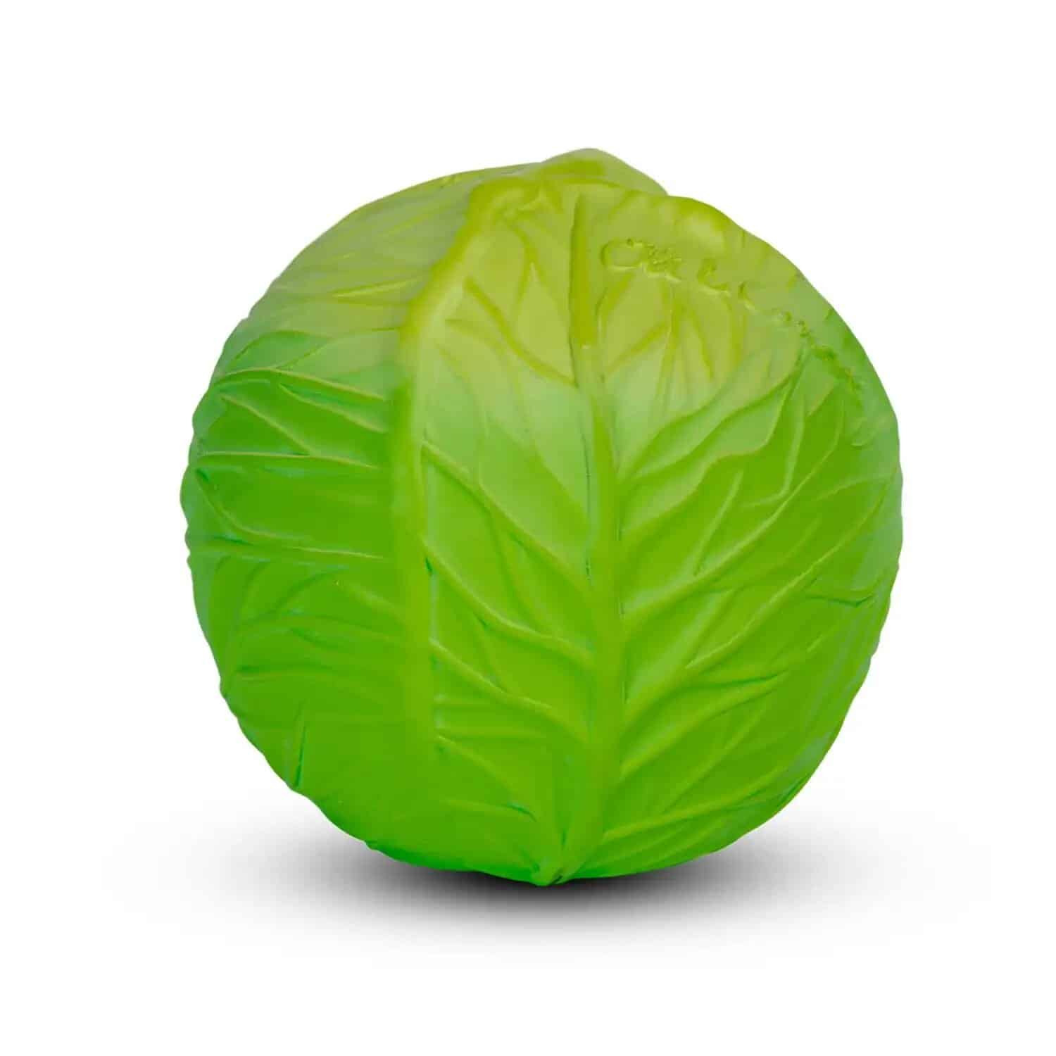 Green Cabbage | Educational Ball