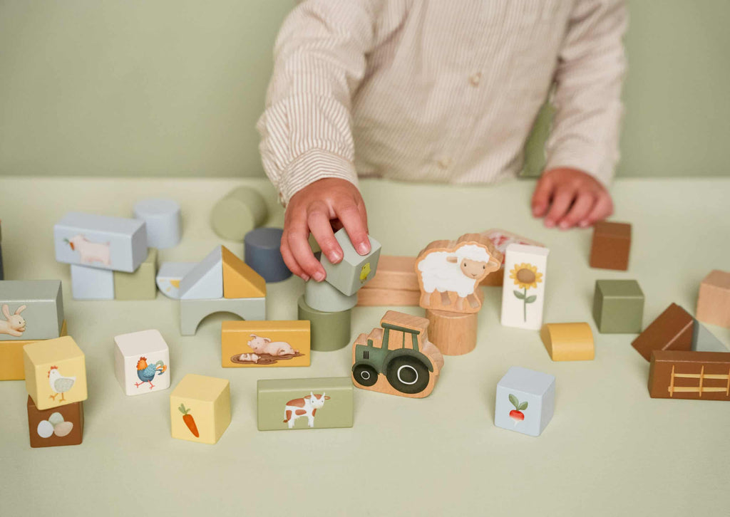 Cubos de Construção | Little Farm