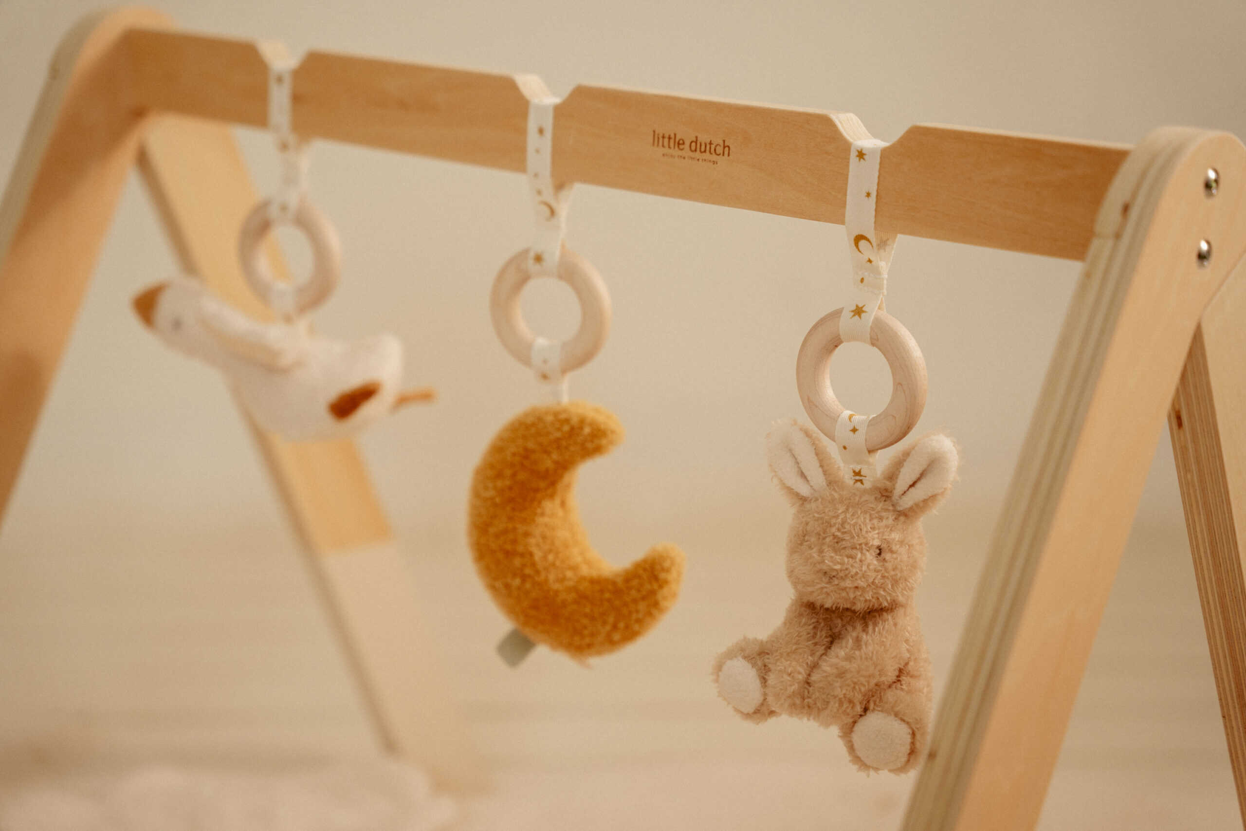 Ginásio de Madeira | Newborn Naturals