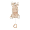 Caixa de Música | Baby Bunny
