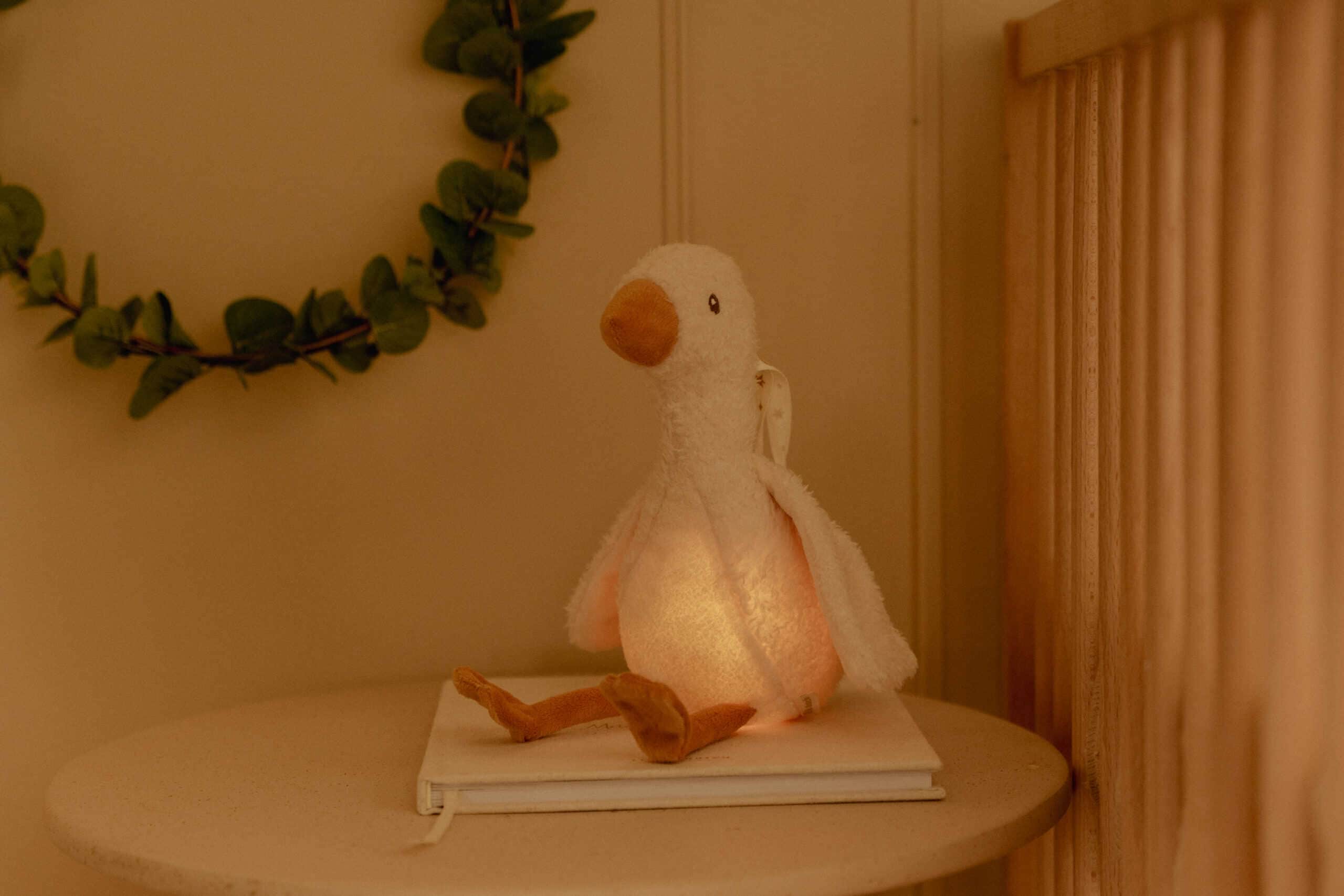 Light & Sound | Little Goose