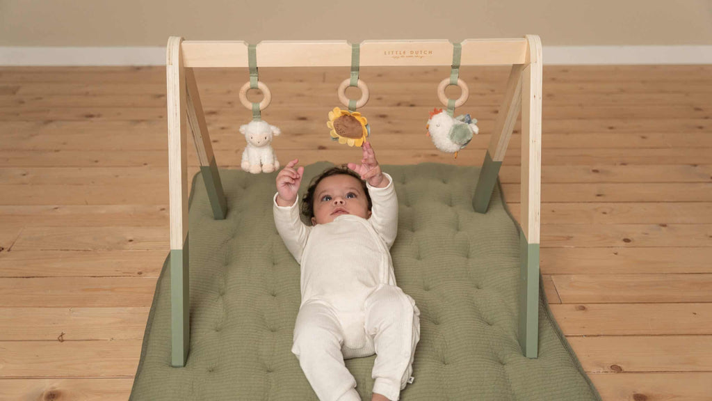 Ginásio de Atividades | Little Farm