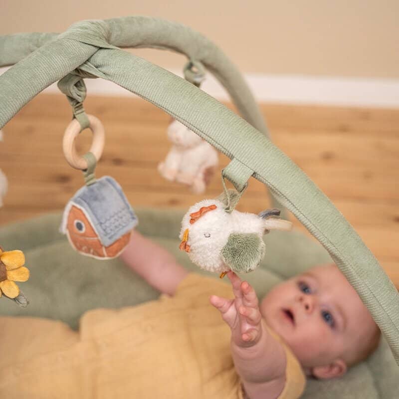 Ginásio de Atividades | Little Farm