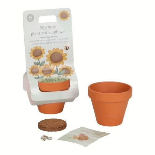 Planta e Vaso | Girassol
