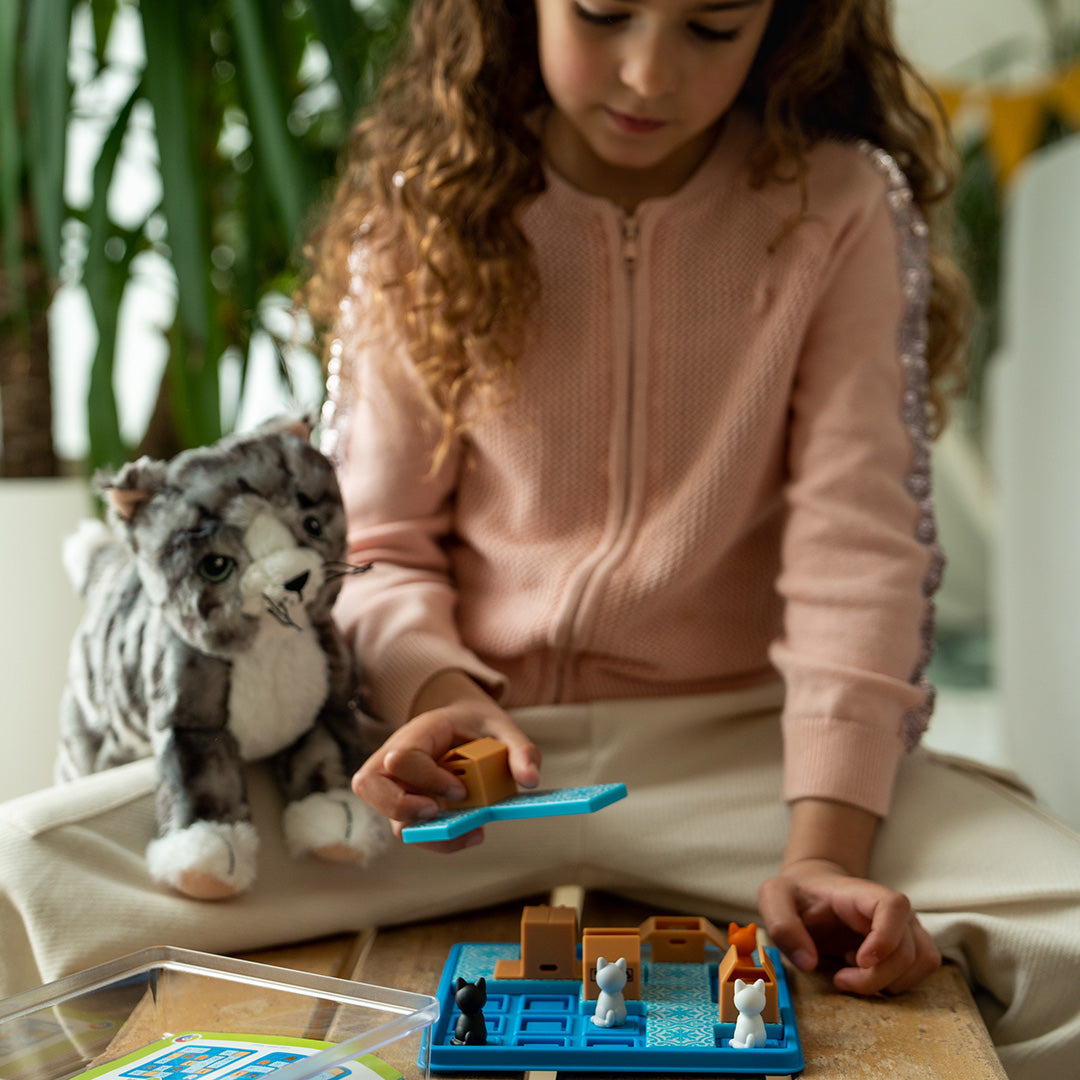 Cats & Boxes – SmartGames (4)
