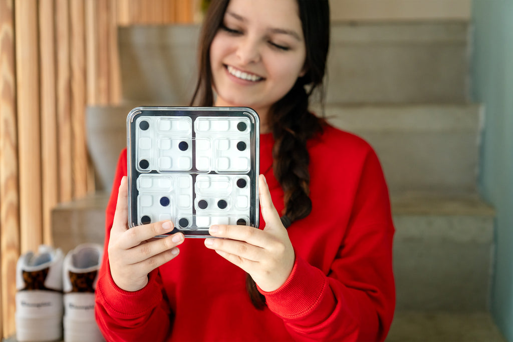 Dice Deduction – SmartGames (4)