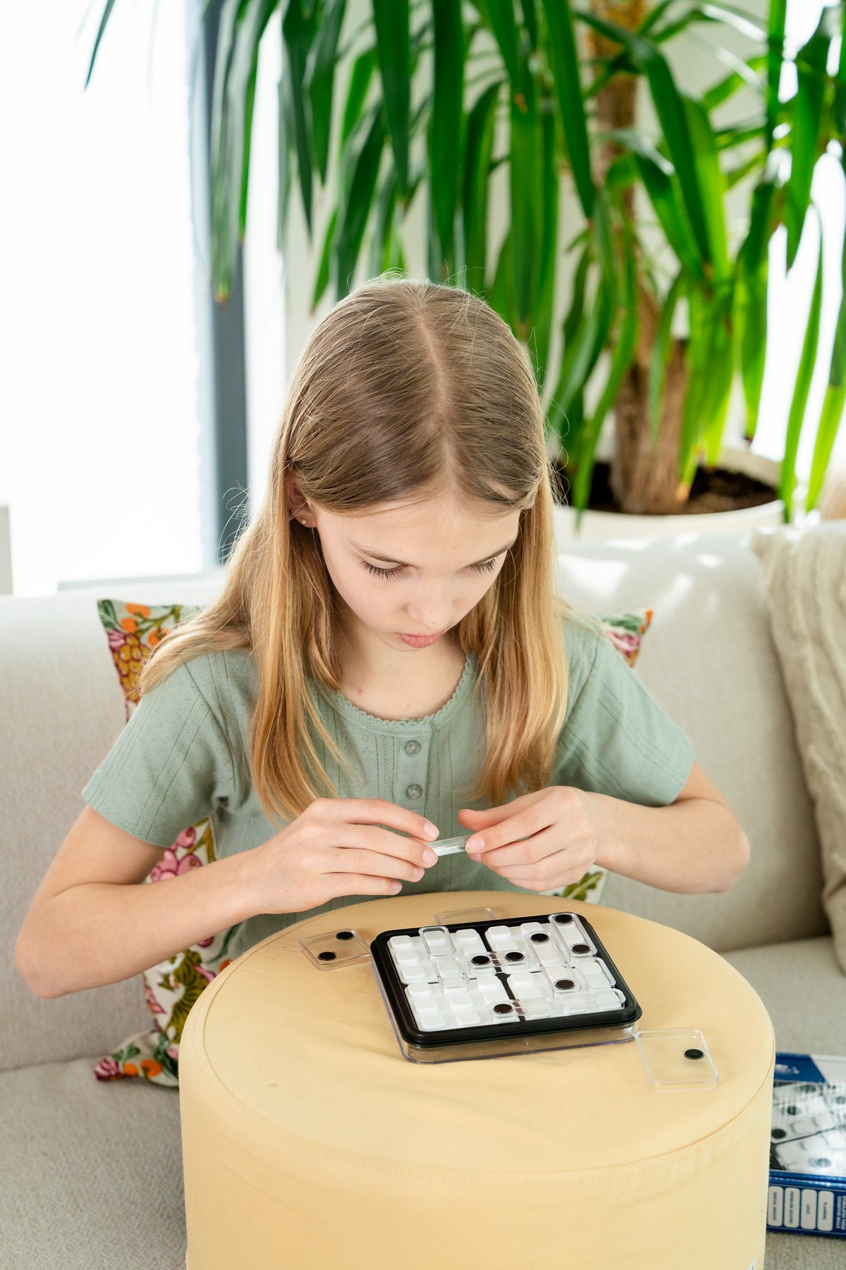 Dice Deduction – SmartGames (6)