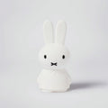 Miffy | Light Shines