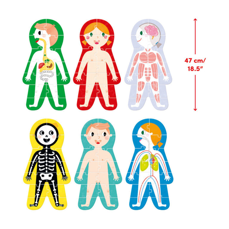 Suuuper Size Puzzles | My Body